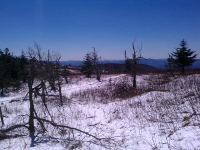 snow and ice on mount rogers 6